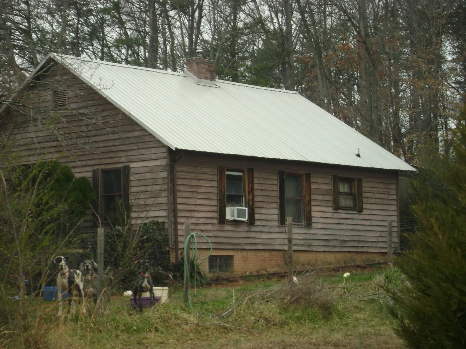 White metal roof on an old wood sided farmhouse, from a Asphalt Shingle Roof Repair job in Grand Prairie